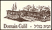 Domain Hagalil