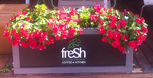 Fresh Kitchen - Herzlia